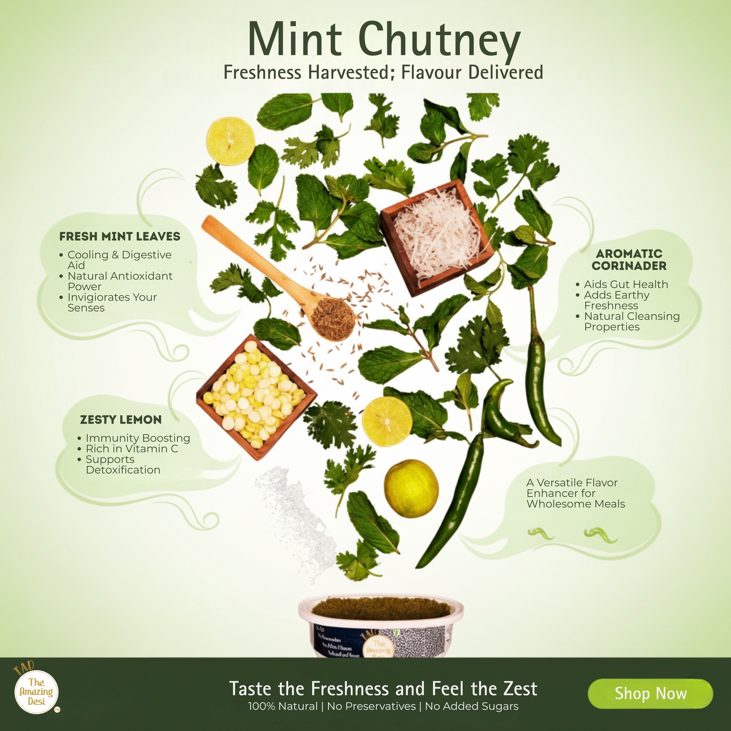 TAD Mint Chutney - 100gm - Image 2